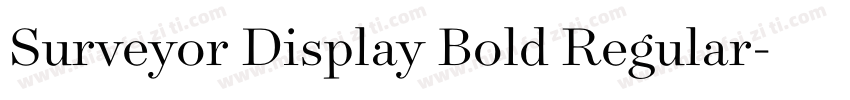 Surveyor Display Bold Regular字体转换